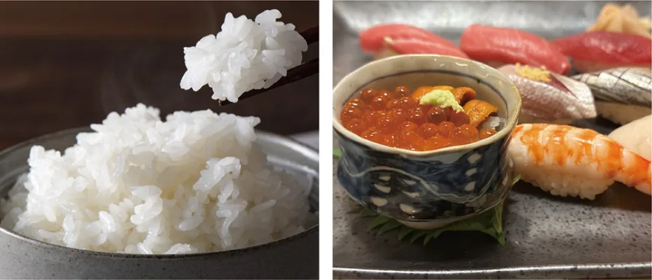 ZERO-03 で冷凍した寿司・海鮮丼のご飯