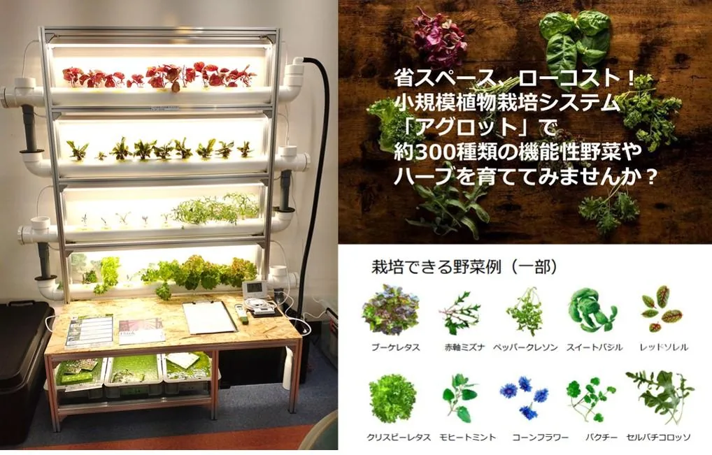KBC NEWS で紹介された液冷式超高速凍結機